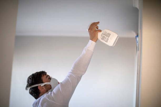 Reliable Ridgebury, CT Mold Removal Solutions