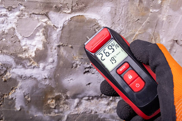 Trusted Ridgebury, CT Mold Removal Experts