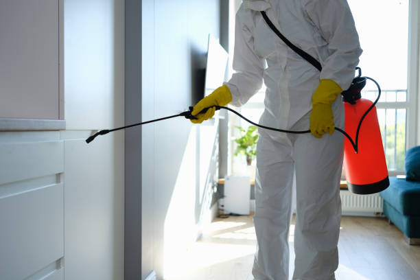 Best Office Mold Removal Services  in Ridgebury, CT